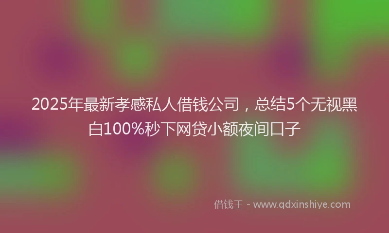 2025年最新孝感私人借钱公司，总结5个无视黑白100%秒下网贷小额夜间口子