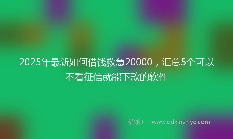 2025年最新如何借钱救急20000，汇总5个可以不看征信就能下款的软件
