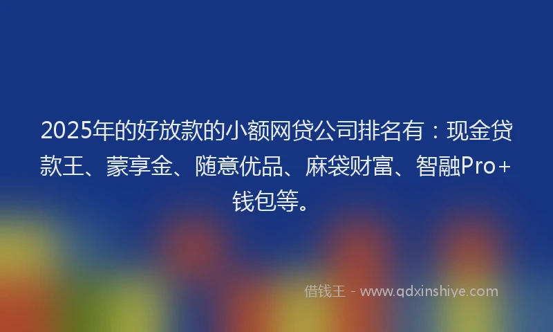2025年的好放款的小额网贷公司排名有：现金贷款王、蒙享金、随意优品、麻袋财富、智融Pro+钱包等。