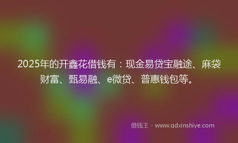 2025年的开鑫花借钱有：现金易贷宝融途、麻袋财富、甄易融、e微贷、普惠钱包等。