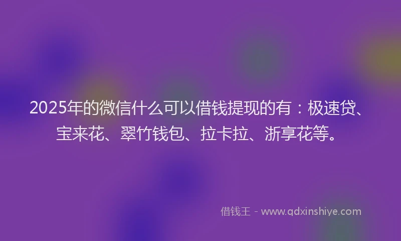 2025年的微信什么可以借钱提现的有：极速贷、宝来花、翠竹钱包、拉卡拉、浙享花等。