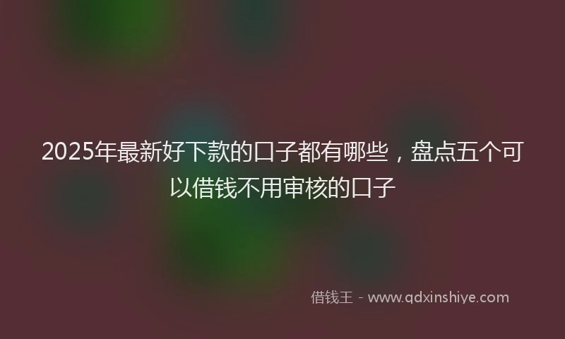 2025年最新好下款的口子都有哪些，盘点五个可以借钱不用审核的口子
