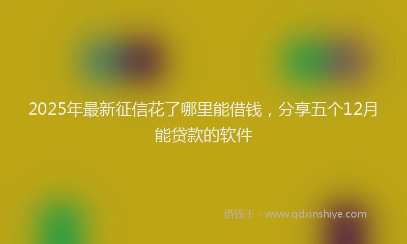 2025年最新征信花了哪里能借钱，分享五个12月能贷款的软件