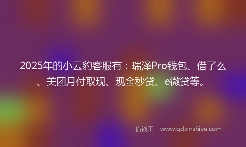 2025年的小云豹客服有：瑞泽Pro钱包、借了么、美团月付取现、现金秒贷、e微贷等。