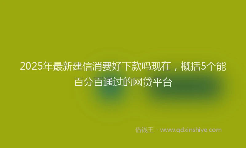 2025年最新建信消费好下款吗现在，概括5个能百分百通过的网贷平台
