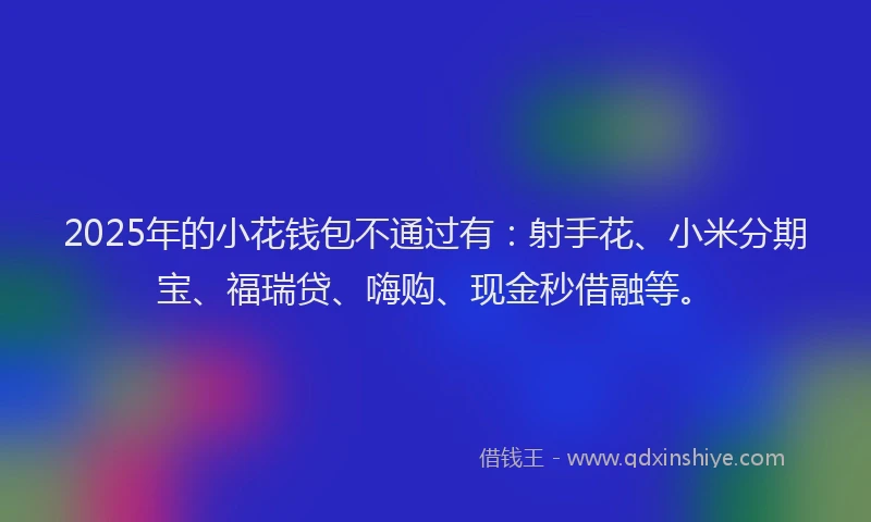2025年的小花钱包不通过有：射手花、小米分期宝、福瑞贷、嗨购、现金秒借融等。