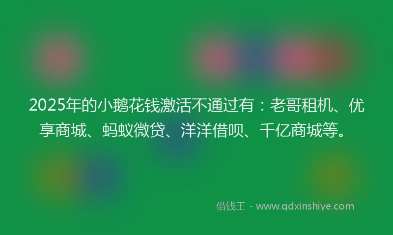 2025年的小鹅花钱激活不通过有：老哥租机、优享商城、蚂蚁微贷、洋洋借呗、千亿商城等。