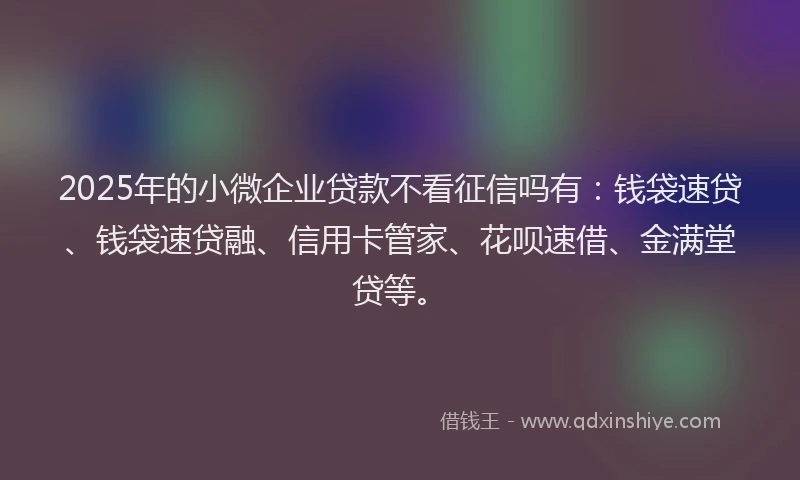 2025年的小微企业贷款不看征信吗有：钱袋速贷、钱袋速贷融、信用卡管家、花呗速借、金满堂贷等。