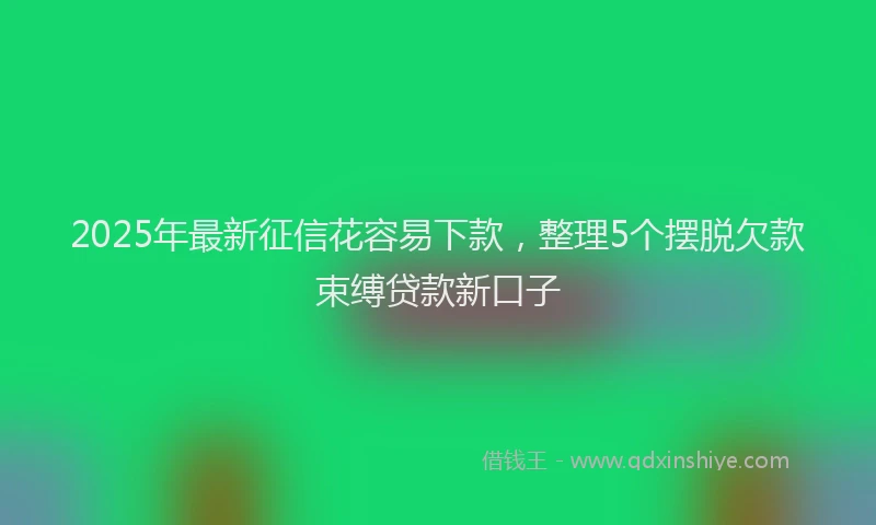 2025年最新征信花容易下款，整理5个摆脱欠款束缚贷款新口子