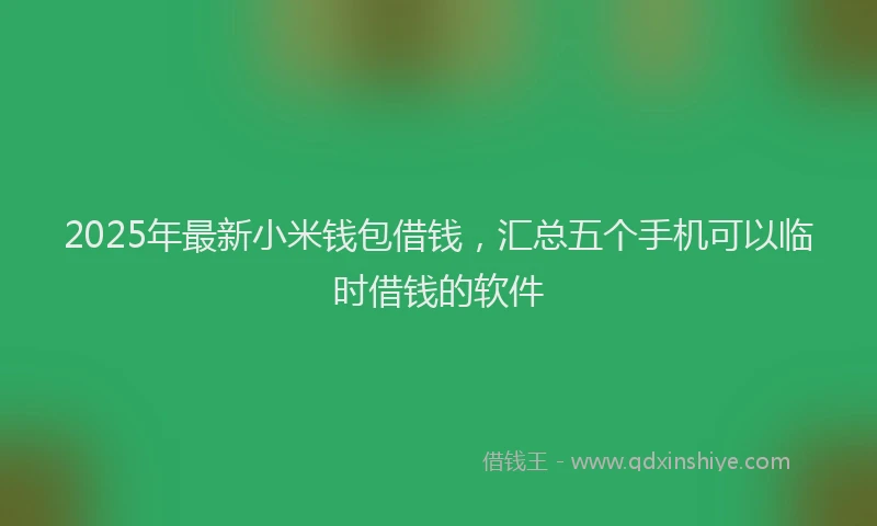 2025年最新小米钱包借钱，汇总五个手机可以临时借钱的软件