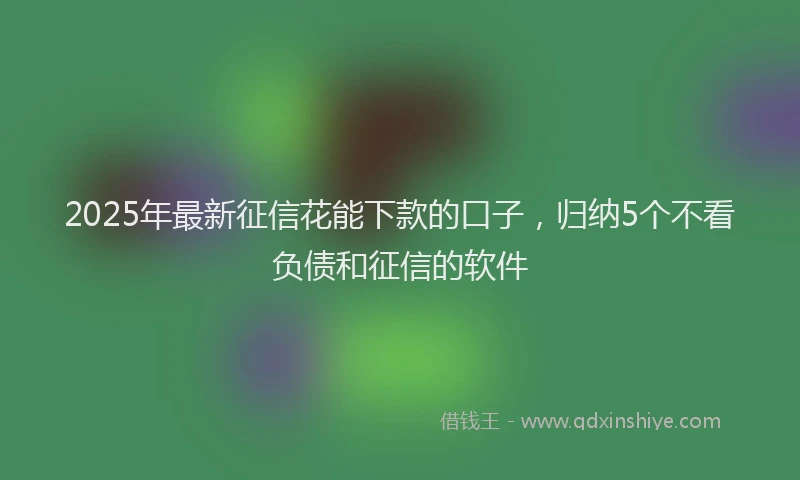 2025年最新征信花能下款的口子，归纳5个不看负债和征信的软件