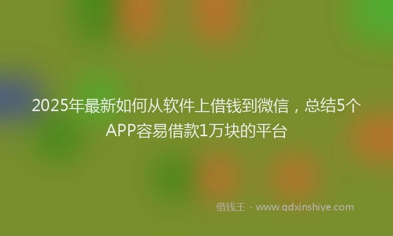 2025年最新如何从软件上借钱到微信，总结5个APP容易借款1万块的平台