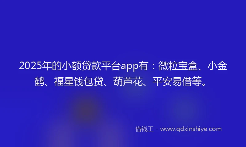 2025年的小额贷款平台app有：微粒宝盒、小金鹤、福星钱包贷、葫芦花、平安易借等。
