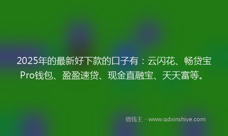 2025年的最新好下款的口子有：云闪花、畅贷宝Pro钱包、盈盈速贷、现金直融宝、天天富等。