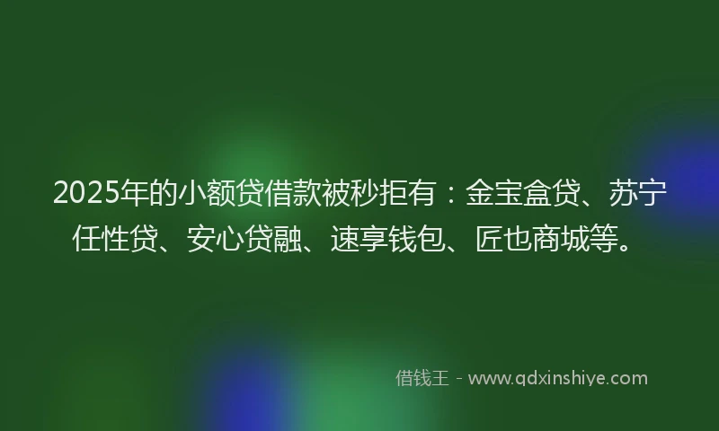 2025年的小额贷借款被秒拒有：金宝盒贷、苏宁任性贷、安心贷融、速享钱包、匠也商城等。
