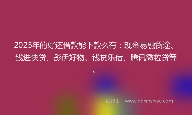 2025年的好还借款能下款么有：现金易融贷途、钱进快贷、彤伊好物、钱贷乐借、腾讯微粒贷等。