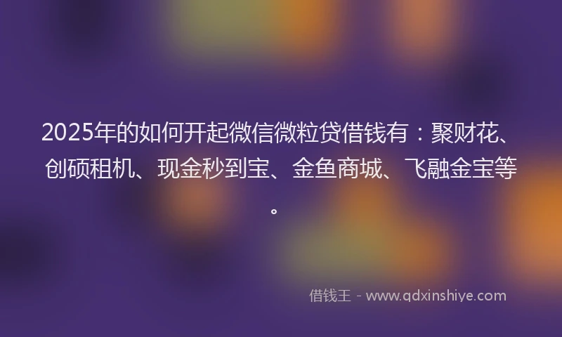 2025年的如何开起微信微粒贷借钱有：聚财花、创硕租机、现金秒到宝、金鱼商城、飞融金宝等。
