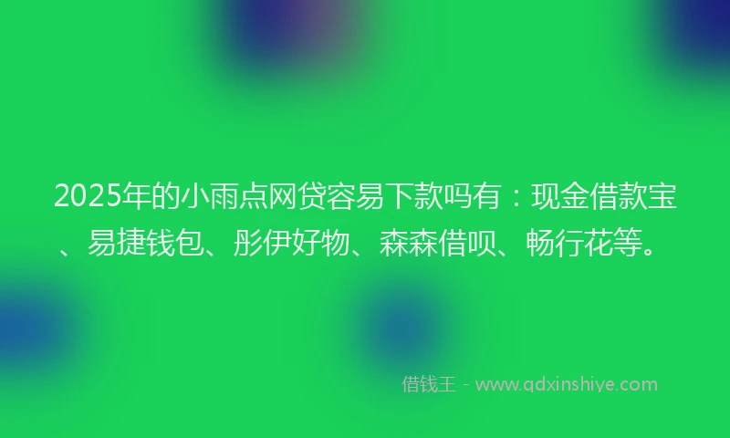 2025年的小雨点网贷容易下款吗有：现金借款宝、易捷钱包、彤伊好物、森森借呗、畅行花等。