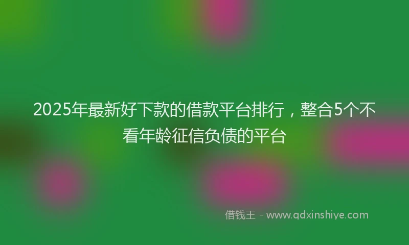 2025年最新好下款的借款平台排行，整合5个不看年龄征信负债的平台