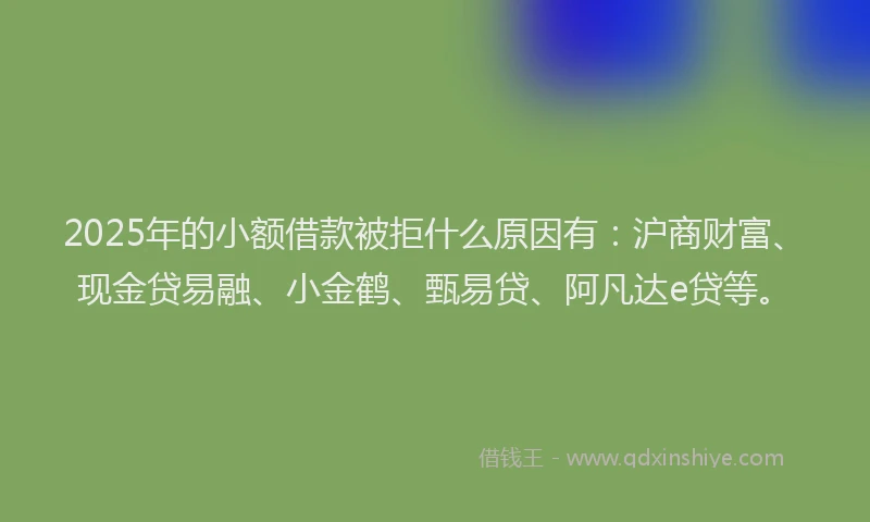 2025年的小额借款被拒什么原因有：沪商财富、现金贷易融、小金鹤、甄易贷、阿凡达e贷等。