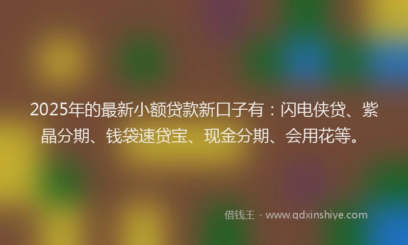 2025年的最新小额贷款新口子有：闪电侠贷、紫晶分期、钱袋速贷宝、现金分期、会用花等。