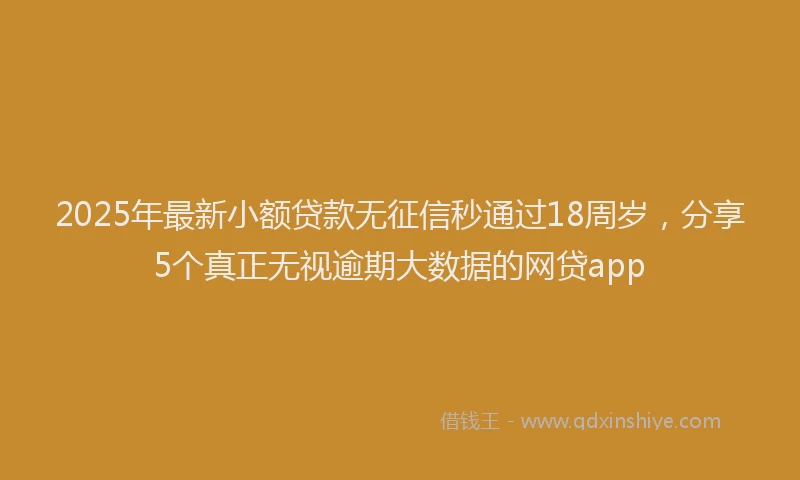 2025年最新小额贷款无征信秒通过18周岁，分享5个真正无视逾期大数据的网贷app