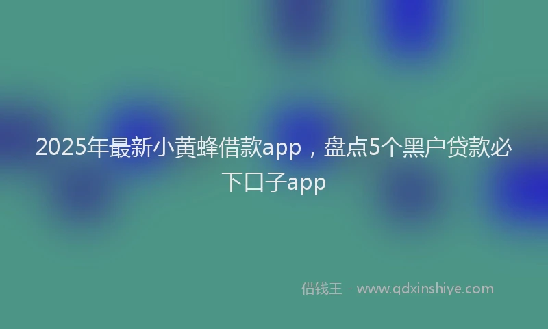 2025年最新小黄蜂借款app，盘点5个黑户贷款必下口子app