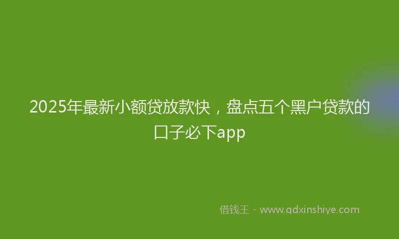2025年最新小额贷放款快，盘点五个黑户贷款的口子必下app