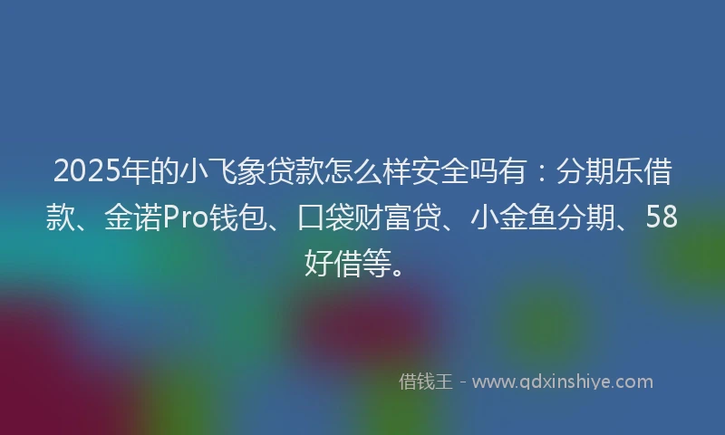 2025年的小飞象贷款怎么样安全吗有：分期乐借款、金诺Pro钱包、口袋财富贷、小金鱼分期、58好借等。