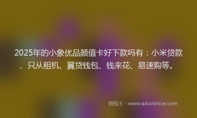 2025年的小象优品颜值卡好下款吗有：小米贷款、只从租机、翼贷钱包、钱来花、易速购等。