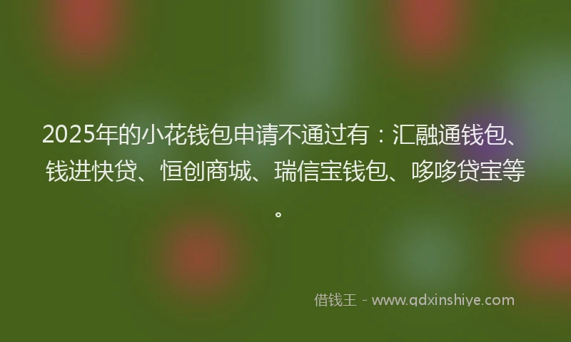 2025年的小花钱包申请不通过有：汇融通钱包、钱进快贷、恒创商城、瑞信宝钱包、哆哆贷宝等。