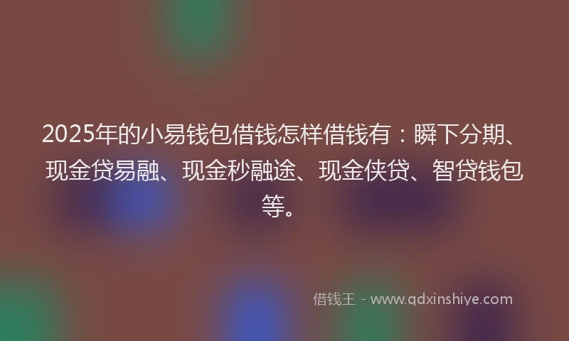 2025年的小易钱包借钱怎样借钱有：瞬下分期、现金贷易融、现金秒融途、现金侠贷、智贷钱包等。