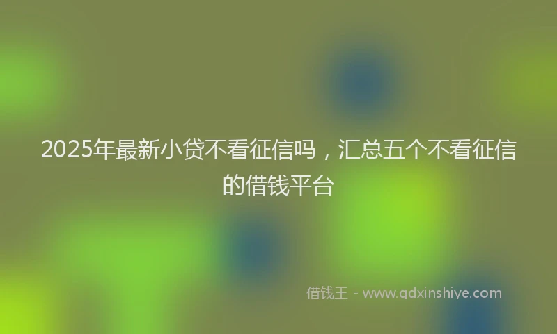 2025年最新小贷不看征信吗，汇总五个不看征信的借钱平台