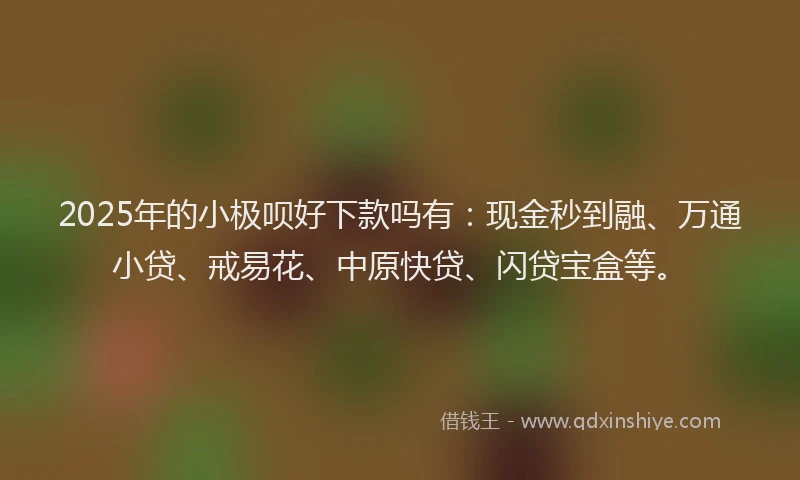 2025年的小极呗好下款吗有：现金秒到融、万通小贷、戒易花、中原快贷、闪贷宝盒等。