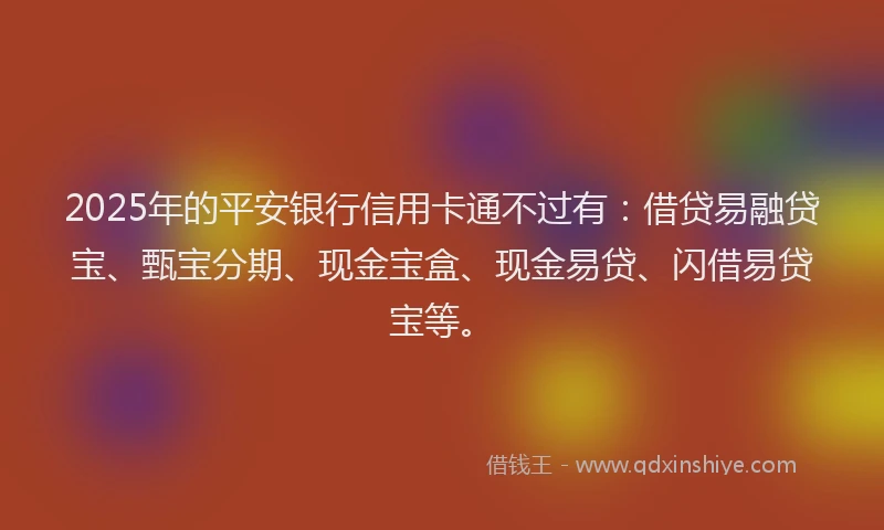 2025年的平安银行信用卡通不过有：借贷易融贷宝、甄宝分期、现金宝盒、现金易贷、闪借易贷宝等。