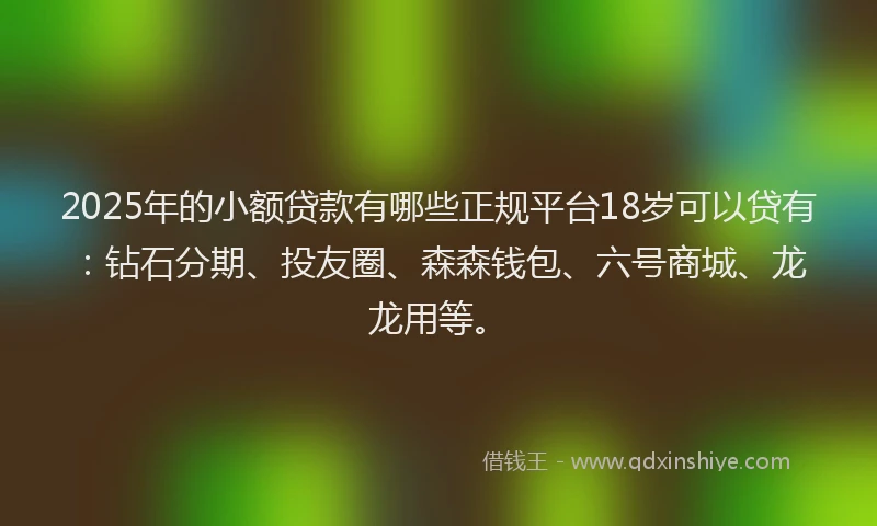 2025年的小额贷款有哪些正规平台18岁可以贷有：钻石分期、投友圈、森森钱包、六号商城、龙龙用等。