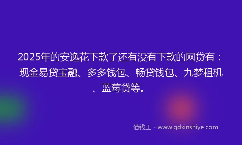 2025年的安逸花下款了还有没有下款的网贷有：现金易贷宝融、多多钱包、畅贷钱包、九梦租机、蓝莓贷等。