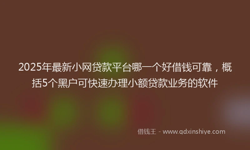 2025年最新小网贷款平台哪一个好借钱可靠，概括5个黑户可快速办理小额贷款业务的软件