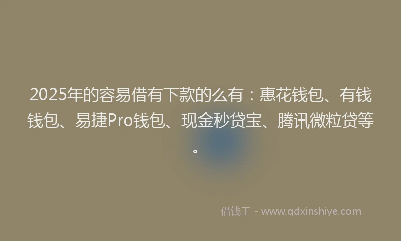 2025年的容易借有下款的么有：惠花钱包、有钱钱包、易捷Pro钱包、现金秒贷宝、腾讯微粒贷等。