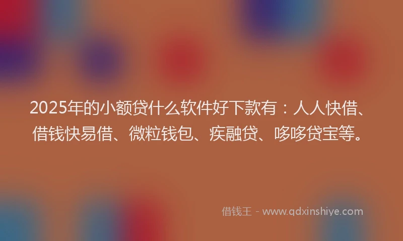 2025年的小额贷什么软件好下款有：人人快借、借钱快易借、微粒钱包、疾融贷、哆哆贷宝等。