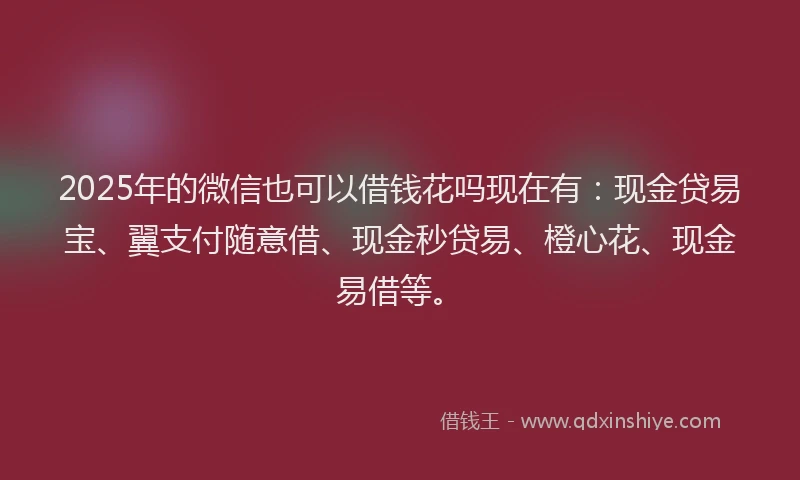 2025年的微信也可以借钱花吗现在有：现金贷易宝、翼支付随意借、现金秒贷易、橙心花、现金易借等。
