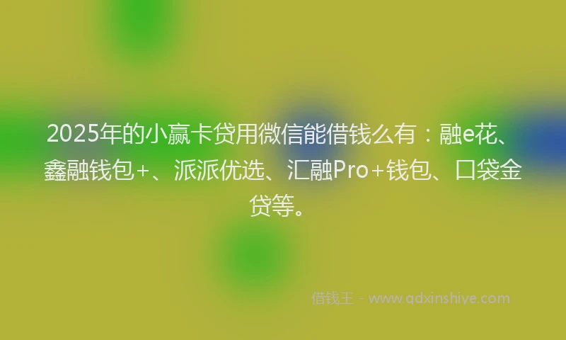 2025年的小赢卡贷用微信能借钱么有：融e花、鑫融钱包+、派派优选、汇融Pro+钱包、口袋金贷等。