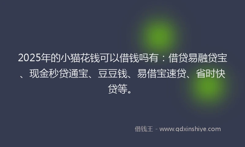 2025年的小猫花钱可以借钱吗有：借贷易融贷宝、现金秒贷通宝、豆豆钱、易借宝速贷、省时快贷等。