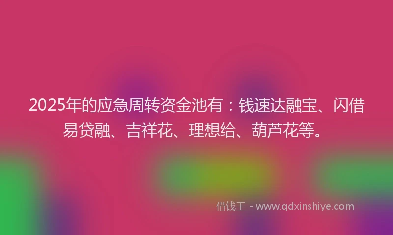 2025年的应急周转资金池有：钱速达融宝、闪借易贷融、吉祥花、理想给、葫芦花等。