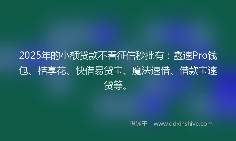 2025年的小额贷款不看征信秒批有：鑫速Pro钱包、桔享花、快借易贷宝、魔法速借、借款宝速贷等。