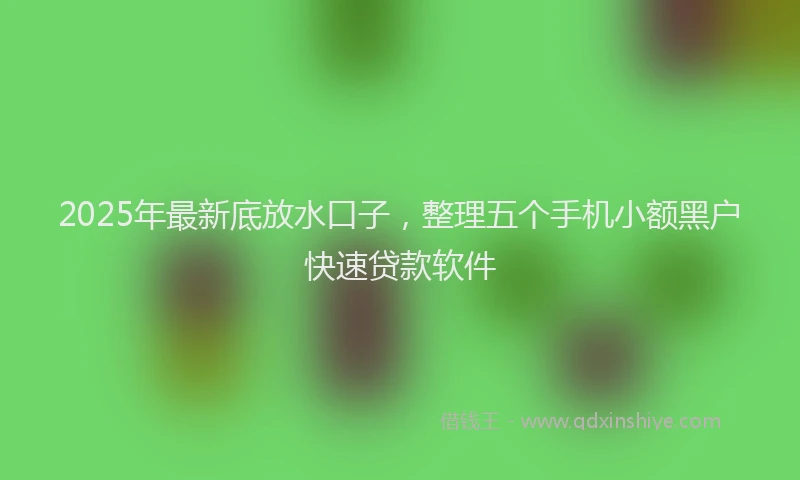 2025年最新底放水口子，整理五个手机小额黑户快速贷款软件