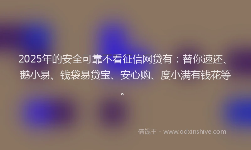 2025年的安全可靠不看征信网贷有：替你速还、鹅小易、钱袋易贷宝、安心购、度小满有钱花等。