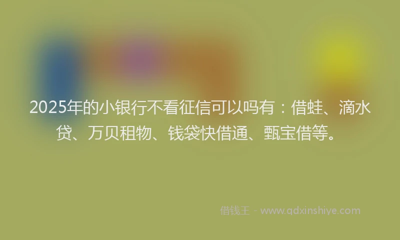 2025年的小银行不看征信可以吗有：借蛙、滴水贷、万贝租物、钱袋快借通、甄宝借等。