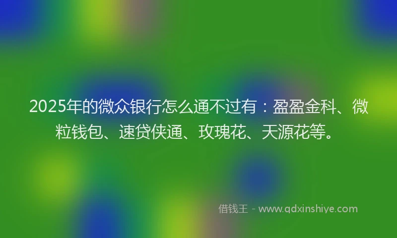 2025年的微众银行怎么通不过有：盈盈金科、微粒钱包、速贷侠通、玫瑰花、天源花等。
