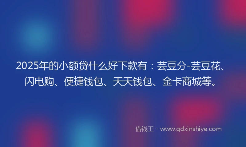 2025年的小额贷什么好下款有：芸豆分-芸豆花、闪电购、便捷钱包、天天钱包、金卡商城等。
